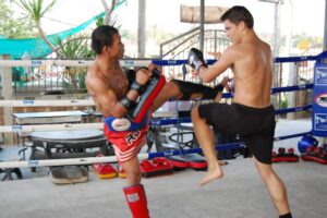 fighting-gym-treningy_33